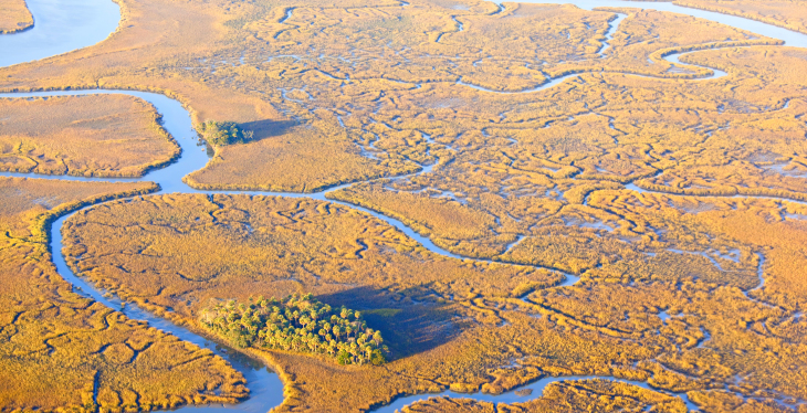 Wetlands